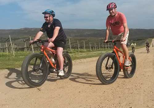 Cycling in Elgin in South Africa's Overberg