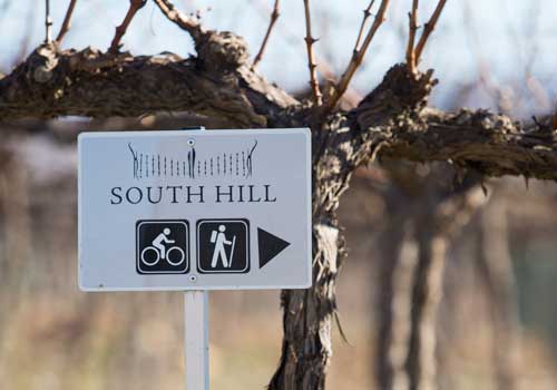 South Hill Sign to Activities at the vineyard